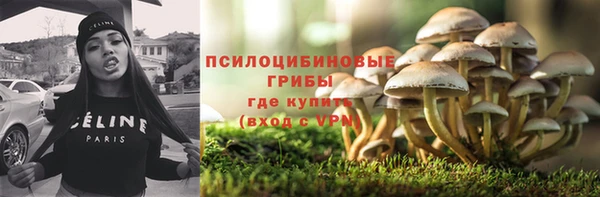 гидра Алексеевка