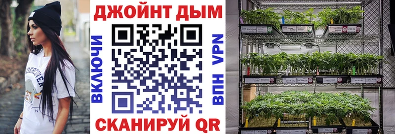 как найти закладки  Заинск  МАРИХУАНА сатива 
